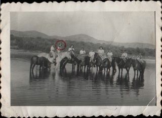 Eduarda y otras yeguas, 1959
