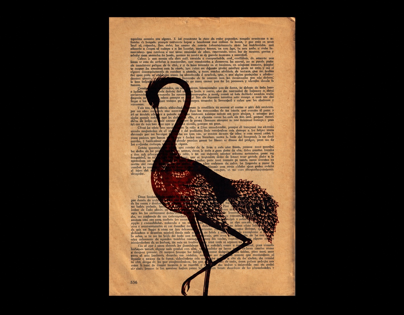 Dibujo Animal, el Pájaro